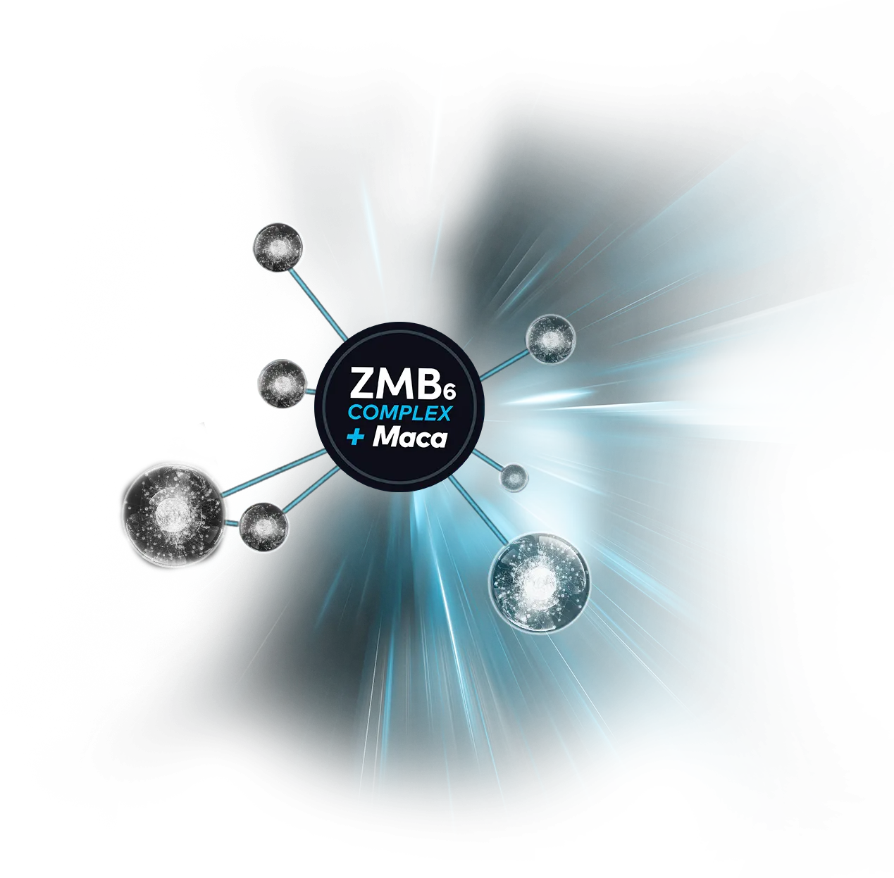 Imagem decorativa do Complexo ZMB6 + Maca